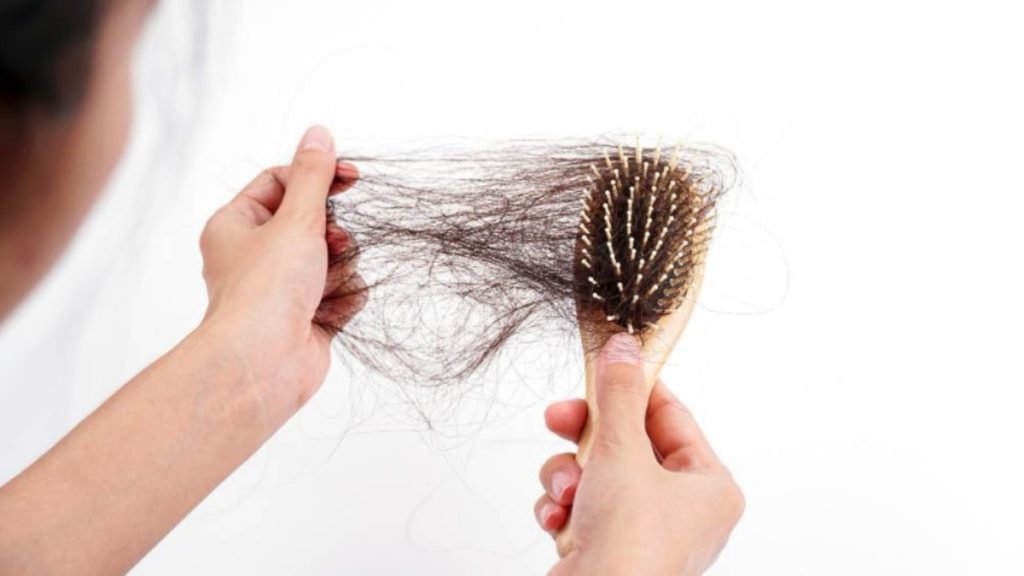 🌿 Understanding Hair Fall in Ayurveda