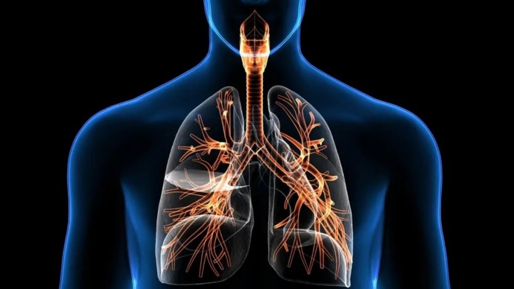 Ayurvedic Treatment for Respiratory Problems By Jeevan Ayurveda