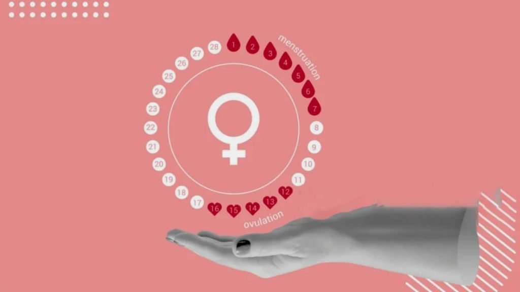 Understanding Periods (Menstrual Health) A Complete Guide