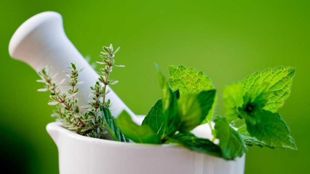 🏥 Jeevan Ayurveda’s Hair Fall Treatment In Ayurveda