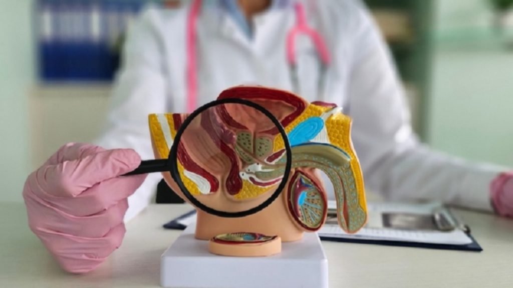 Ayurvedic Treatment for Erectile Dysfunction Jeevan Ayurveda