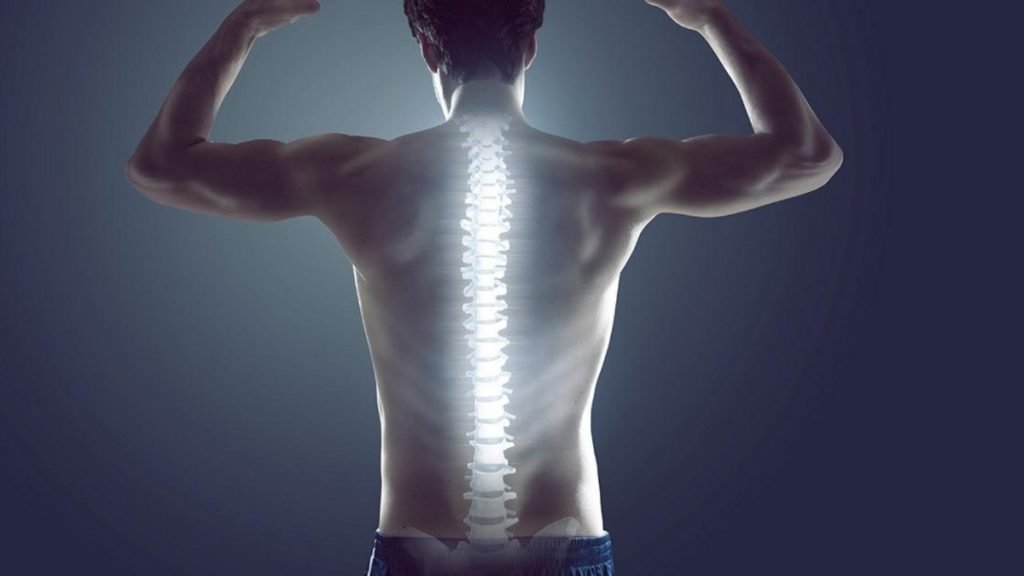 Disc Problem Causes, Symptoms, Treatment & Ayurvedic Solutions