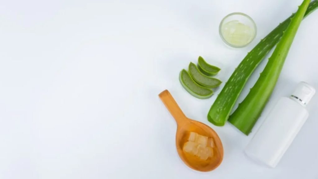 ⭐ Aloe Vera को बालों पर कब और कितनी बार लगाना चाहिए
