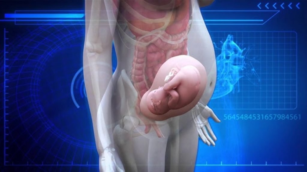 💚 How Jeevan Ayurveda Helps in Infertility