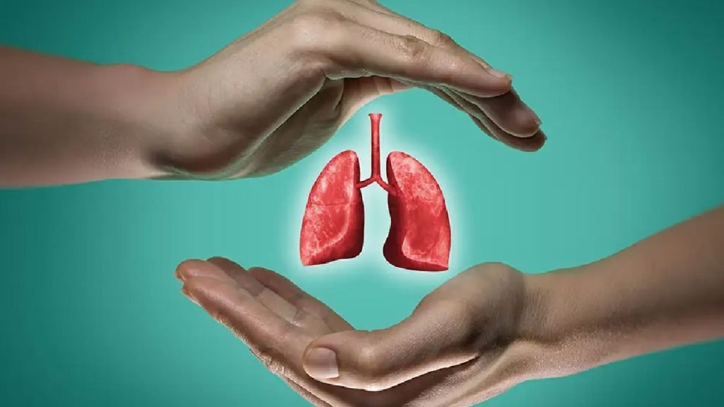 फेफड़े (Lungs) – श्वास का स्रोत