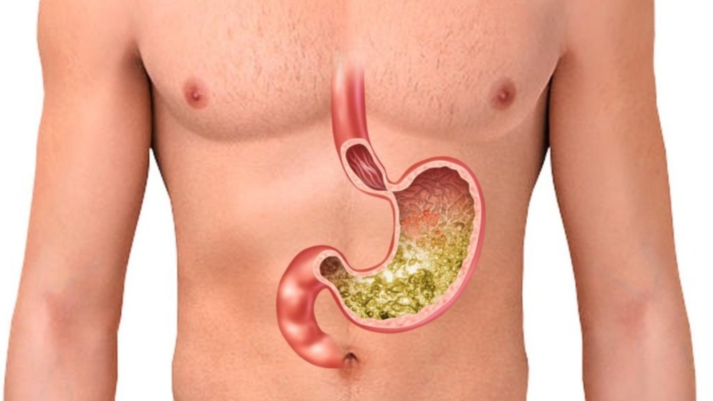 बॉडी-के-इंटरनल-ऑर्गन-क्या