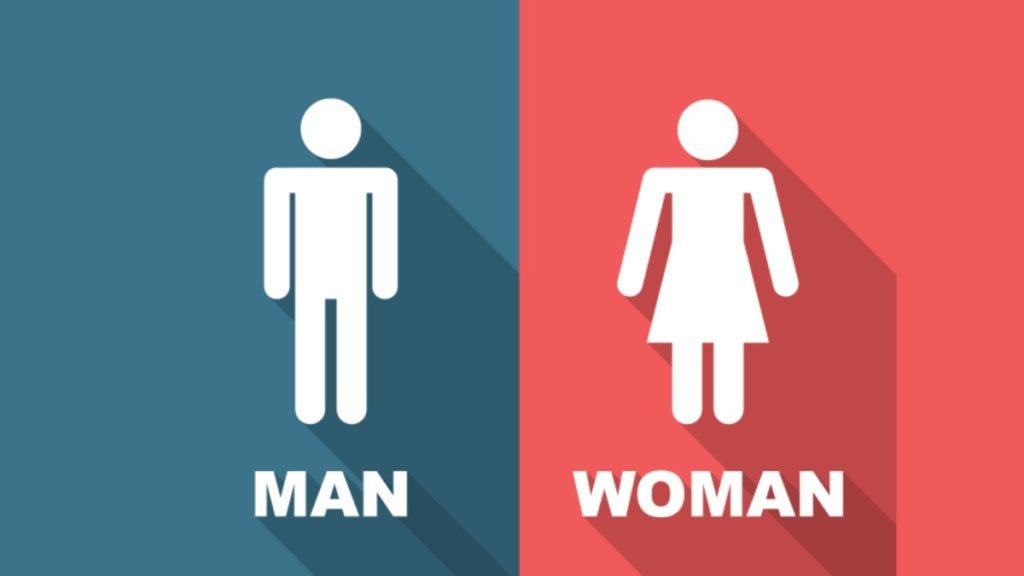 Jeevan Ayurveda में उपयोग होने वाली प्रमुख आयुर्वेदिक औषधियाँ