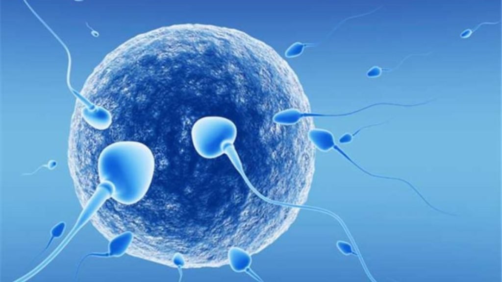 Low Sperm Count Treatment By Jeevan Ayurveda