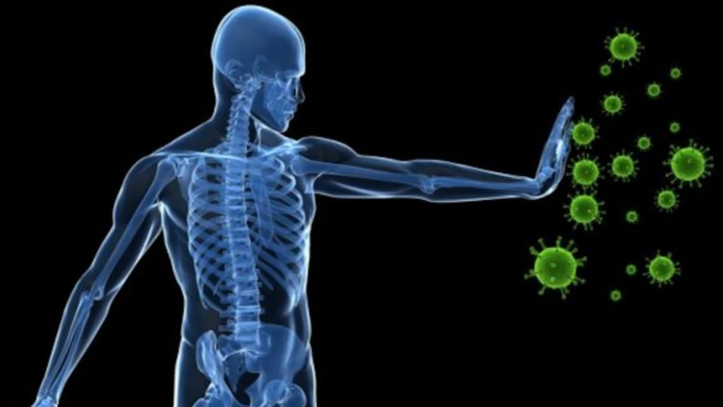 इम्यून सिस्टम क्या होता है