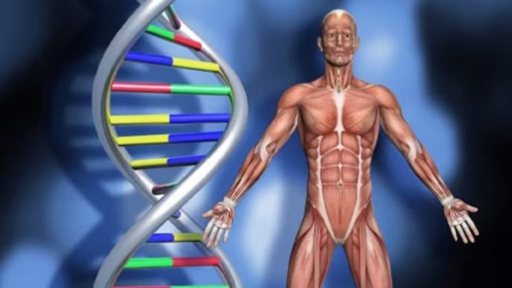 इम्यून सिस्टम मजबूत कैसे होता है आयुर्वेदिक तरीके Jeevan Ayurveda