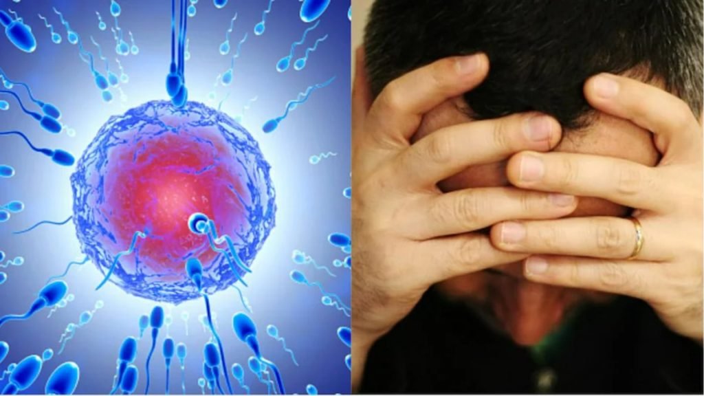 कितने समय में बढ़ता है स्पर्म काउंट