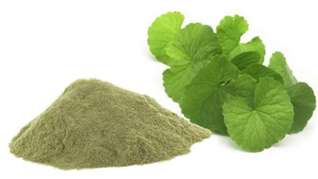 ब्राह्मी का सेवन कैसे करें