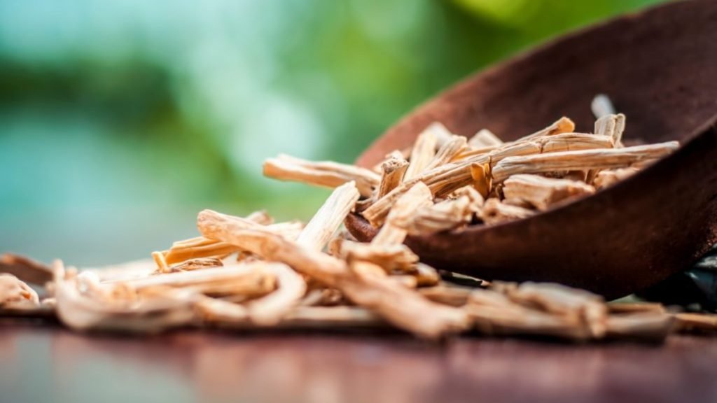 शतावरी का सेवन कैसे करें