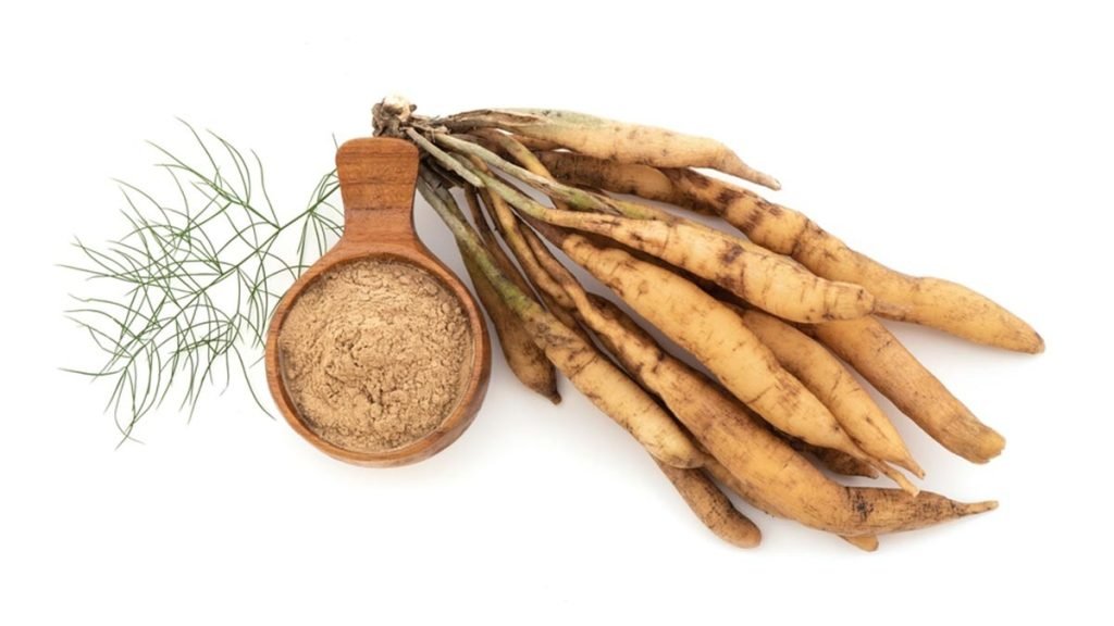 शतावरी किस काम आती है जानिए इसके 8 चमत्कारी फायदे