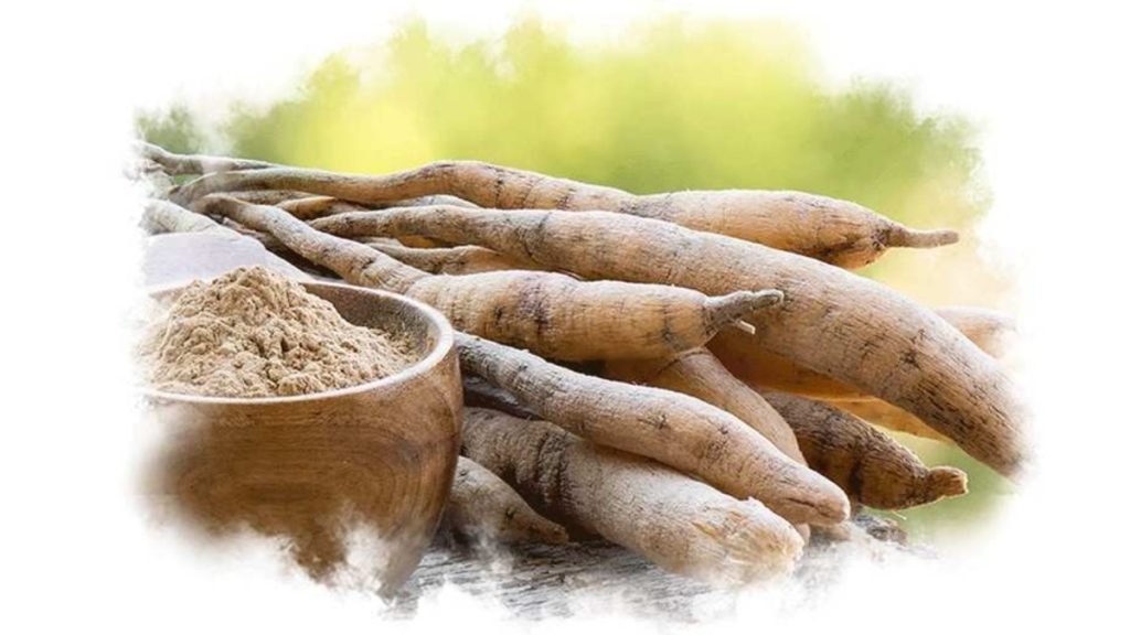 शतावरी किस काम आती है (मुख्य फायदे)