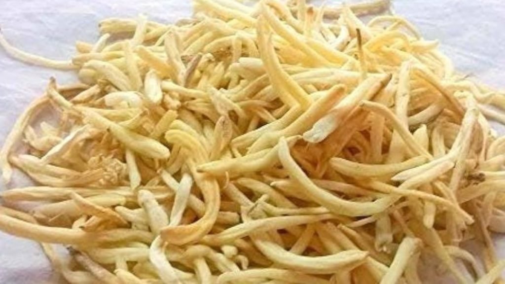 किस काम आती है