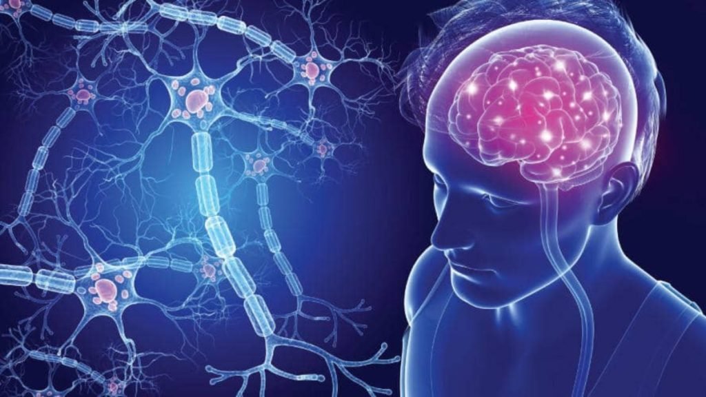 🌱 Jeevan Ayurveda द्वारा MS का आयुर्वेदिक उपचार